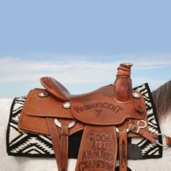 Comfort-Fit SMx Air Ride Pad: El Dorado -Professional Choice Shop F117871936