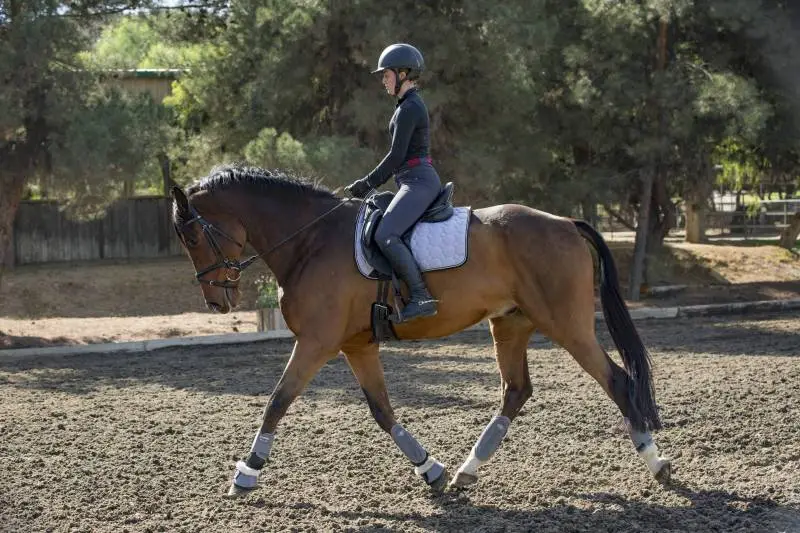 Pro Performance Hybrid Splint Boot 15 Pro Performance Hybrid Splint Boot - Image 15