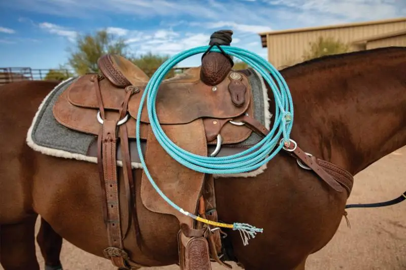 Deluxe 100% Wool Saddle Pad 1 Deluxe 100% Wool Saddle Pad