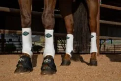 2XCool Sports Medicine Boot - Value 4-Packs -Professional Choice Shop F143868031