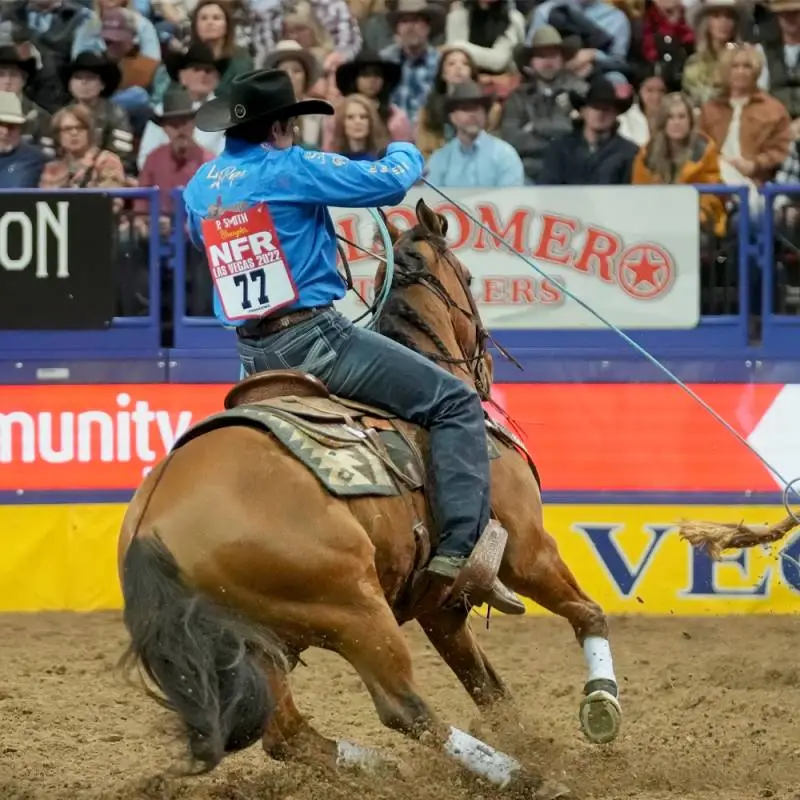 Fuse Navajo Top Steam-Pressed Pad 9 Fuse Navajo Top Steam-Pressed Pad - Image 9