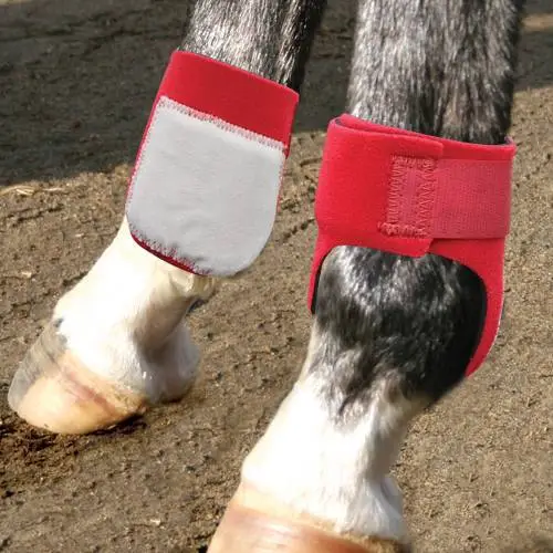 Rear Ankle Boots 2 Rear Ankle Boots - Image 2