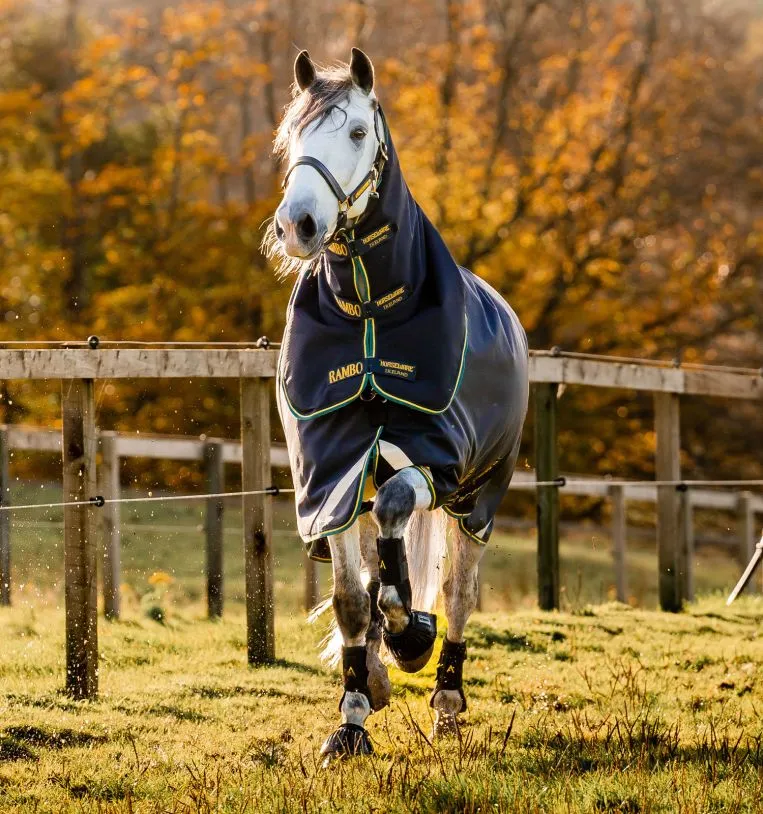 Rambo® Duo Force 2.0 Turnout (100g Outer With 100g Liner And 300g Liner) 2 Rambo® Duo Force 2.0 Turnout (100g Outer With 100g Liner And 300g Liner) - Image 2