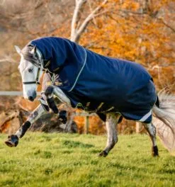 Rambo® Duo Force 2.0 Turnout (100g Outer With 100g Liner And 300g Liner) 10 Rambo® Duo Force 2.0 Turnout (100g Outer With 100g Liner And 300g Liner) -Professional Choice Shop aaad04 bgtb rambo duo force 2.0 navy teal running horse yc87iyeing94kweu