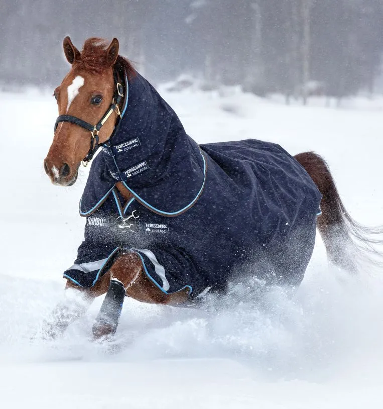 Rambo® Duo Turnout (100g Outer With 300g Liner) 1 Rambo® Duo Turnout (100g Outer With 300g Liner)