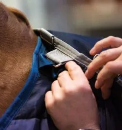 Rambo® Duo Turnout (100g Outer With 300g Liner) 11 Rambo® Duo Turnout (100g Outer With 300g Liner) -Professional Choice Shop aaada3 bdn0 rambo duo turnout liner loops di25lq4rdelpjz03