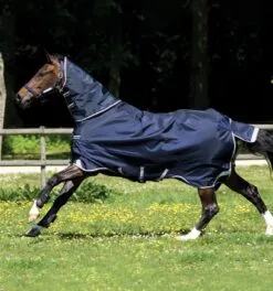 Rambo® Duo Turnout (100g Outer With 300g Liner) 10 Rambo® Duo Turnout (100g Outer With 300g Liner) -Professional Choice Shop aaada3 bdn0 rambo duo turnout navy running horse iwkuytykx2i9zkr4