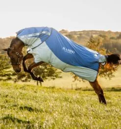 Rambo® Autumn Series Turnout (0g Outer With 100g Liner) 22 Rambo® Autumn Series Turnout (0g Outer With 100g Liner) -Professional Choice Shop aaapk0 bj00 rambo autumn series horse blanket hybrid 2