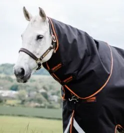 Rambo® Supreme 1680D Turnout (200g Medium) -Professional Choice Shop aaasa2 ksmn rambo supreme 1680d turnout medium 200g hood tclda0etfg3khpzr