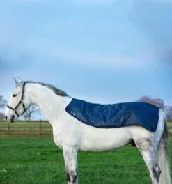 Rambo® Summer Series Turnout - Disc Front (0g Outer With 100g Liner) 9 Rambo® Summer Series Turnout - Disc Front (0g Outer With 100g Liner) -Professional Choice Shop aaatks bj00 rambo summer series turnout disc front 0g lite liner 3