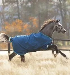 Rhino® Original Turnout (0g Light) -Professional Choice Shop aaba91 baja rhino original turnout 0g lite sd5xrocbcxexlaqg