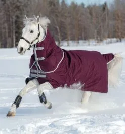 Amigo® Hero Ripstop Plus Turnout (200g Medium) 5 Amigo® Hero Ripstop Plus Turnout (200g Medium) -Professional Choice Shop aapp93 gfi0 amigo hero ripstop plus med 200g fig silver snow fleehv876kecm7xk