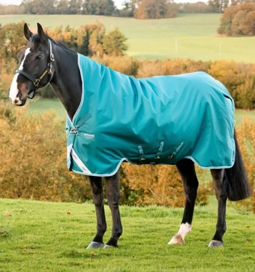 Amigo® Bravo 12 Wug Turnout (250g Medium) -Professional Choice Shop aarw72 gde0 amigo bravo 12 wug turnout medium blanket c6fucjxn9k6vv8dl