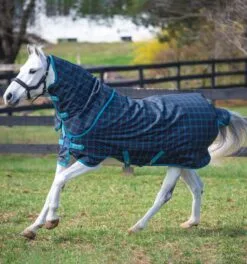 Amigo® Pony Plus Turnout W/ Disc Front Closure (50g Light)