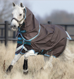 Amigo® Bravo 12 Plus Pony Turnout (0g Light)