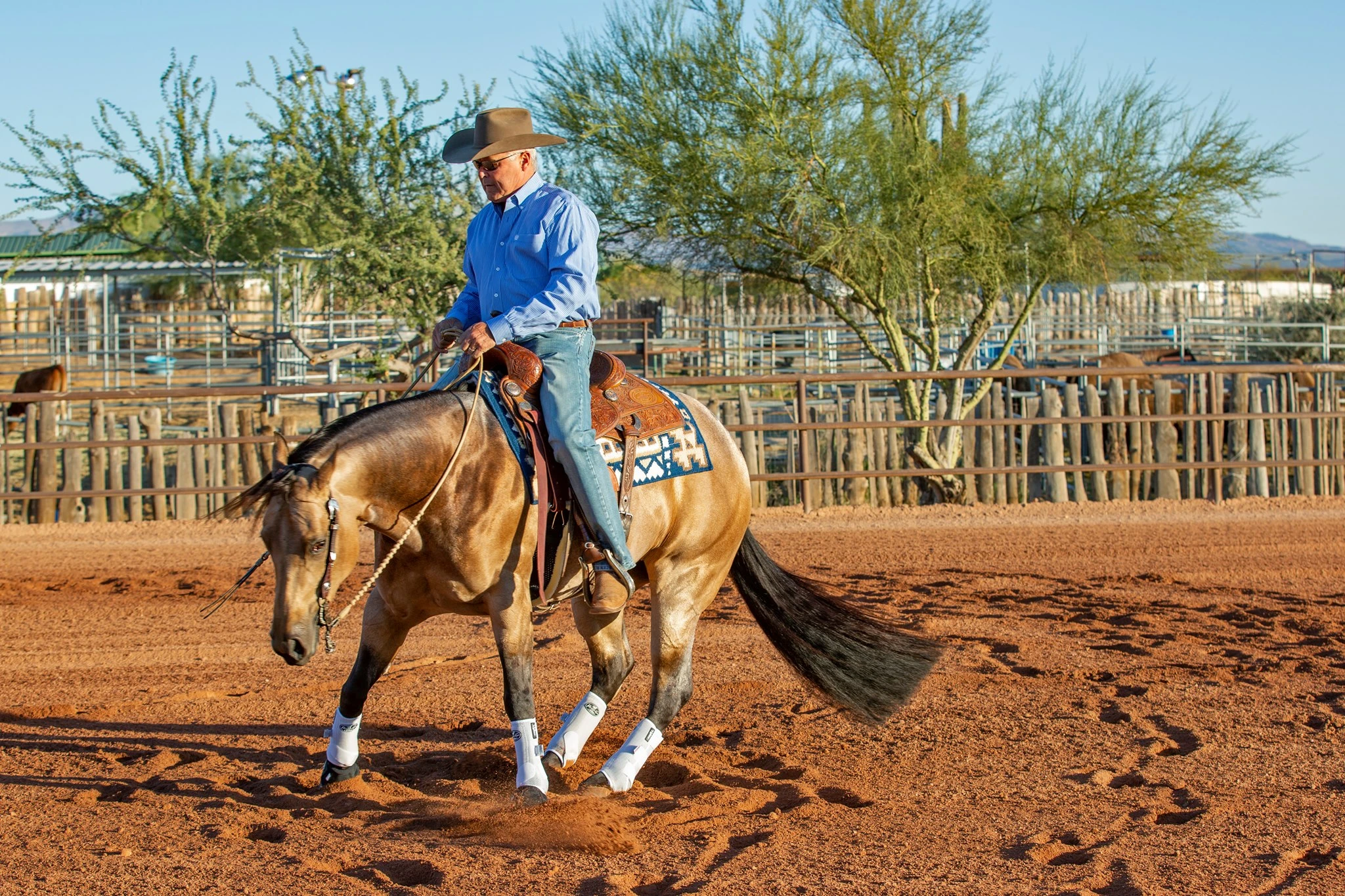Professional Choice Shop -Professional Choice Shop Professionals Choicewww
